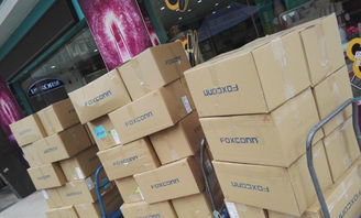 小家電、化工日用品與寵物食品進口清關渠道的穩定性探析